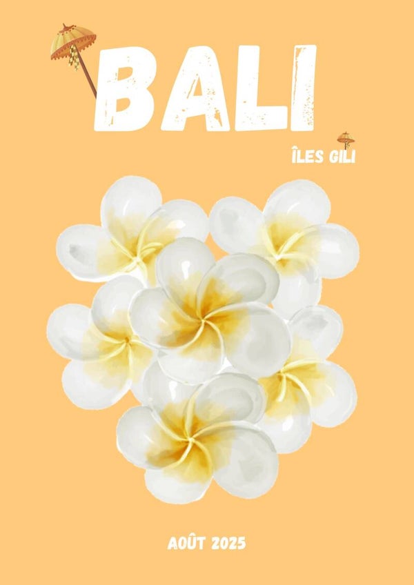 Livre style Assouline BALI