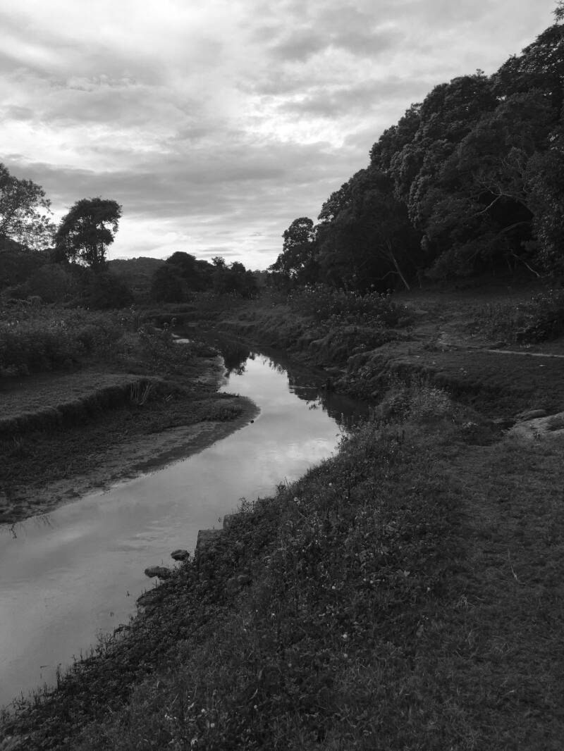 Rivier die meandert