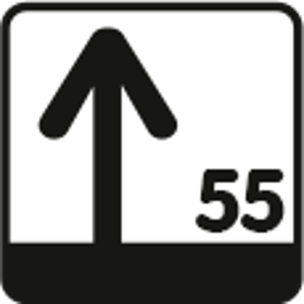 12841, frynsetulipan, "Noordeinde", 10 stk løk pr pakke