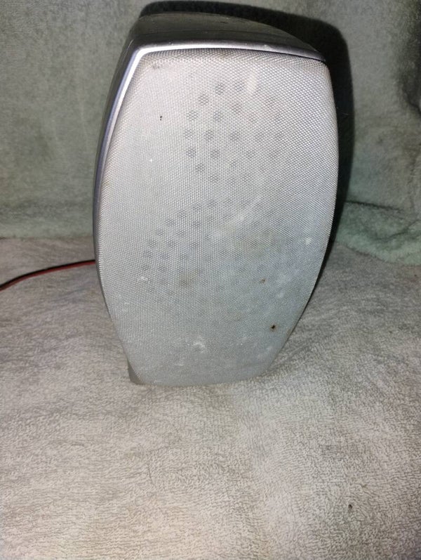 Speaker