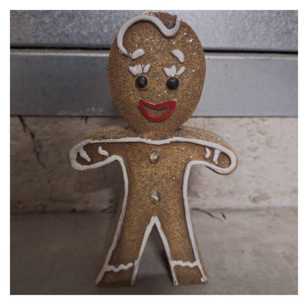 Peterkoek jongen met licht 24 cm verp 16