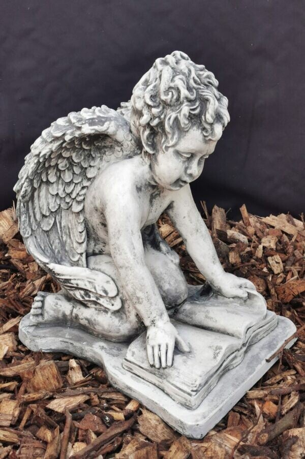 BETON EGEL ZIT MET BOEK 40 CM