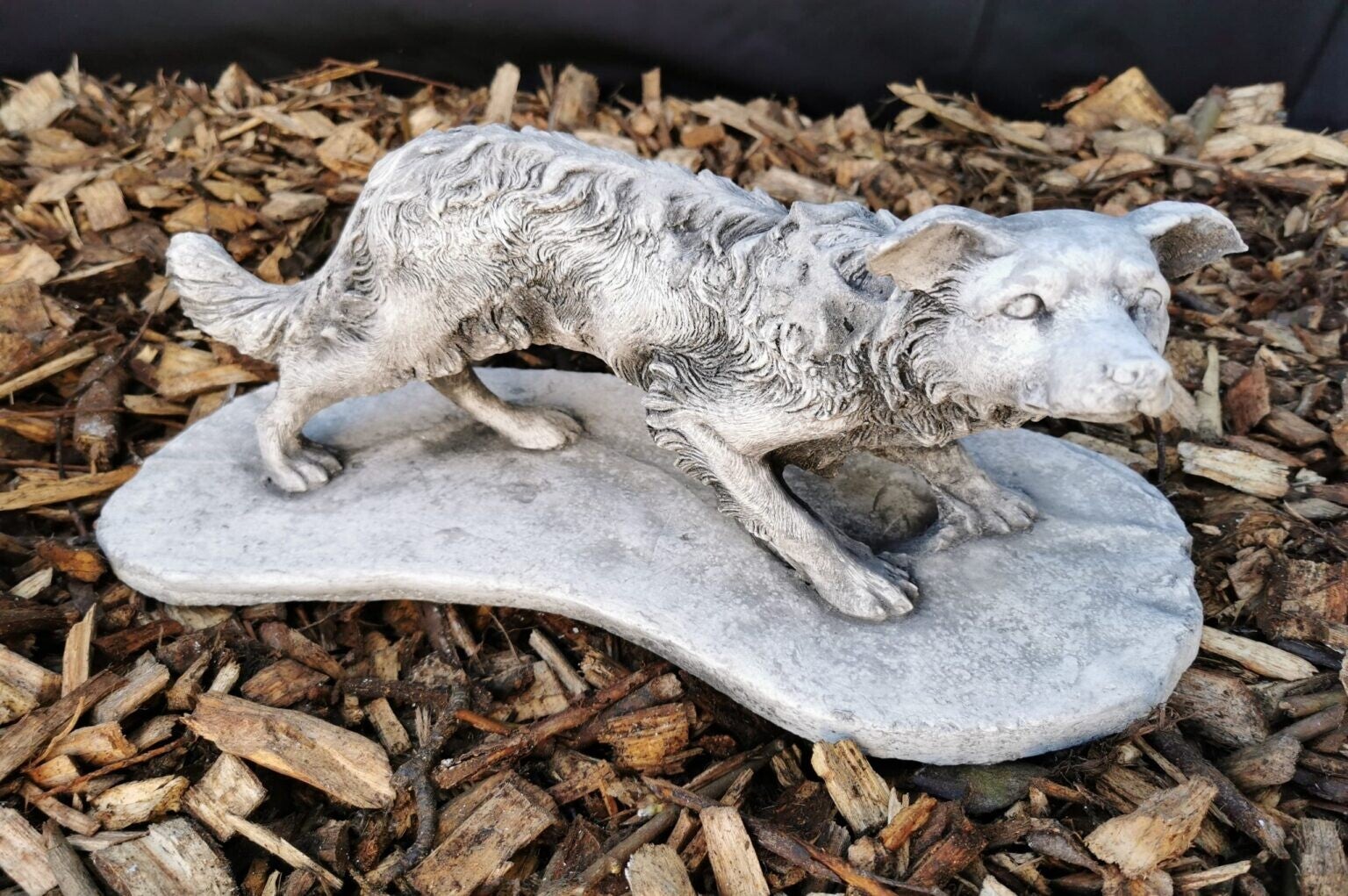 BETON BORDERCOLLIE OP SOKEL 45 CM