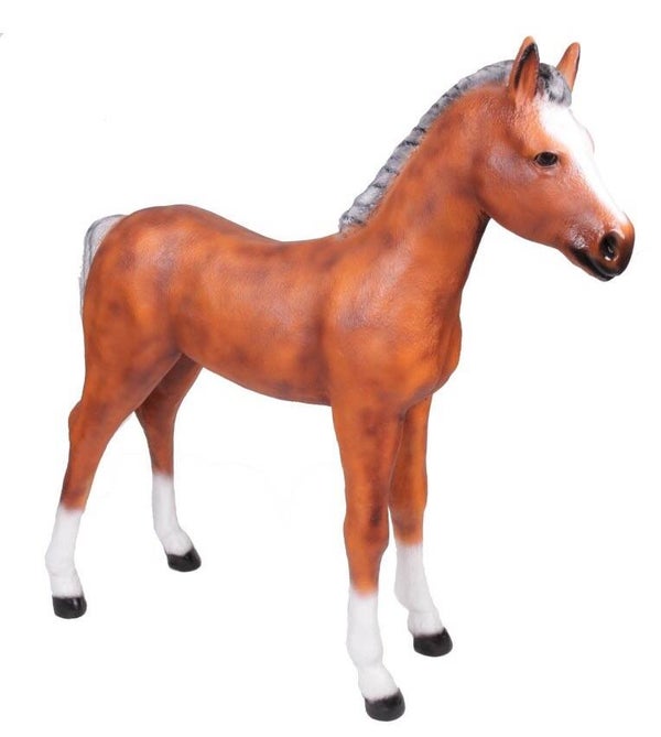 DHD A566a Paarde veulen polyester résine bruin 150 cm 