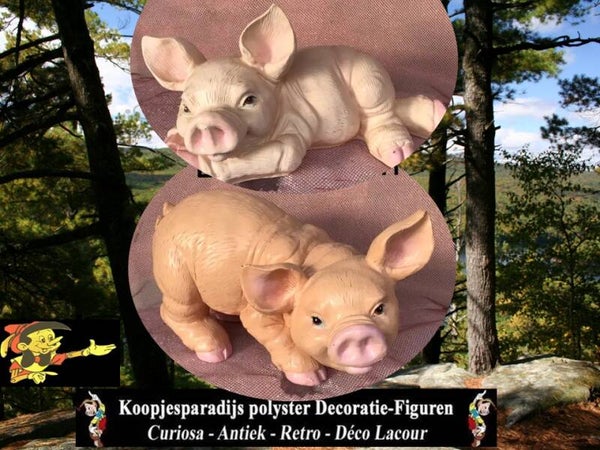 D15Varken baby ligend polyester résine 30 cm