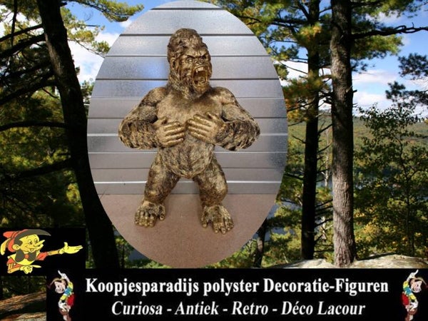 agressive aap met handen aan borst 45 x 65 cm