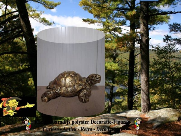 LANDSCHILDPAD ANTIEK GOUD 30 X 60 CM