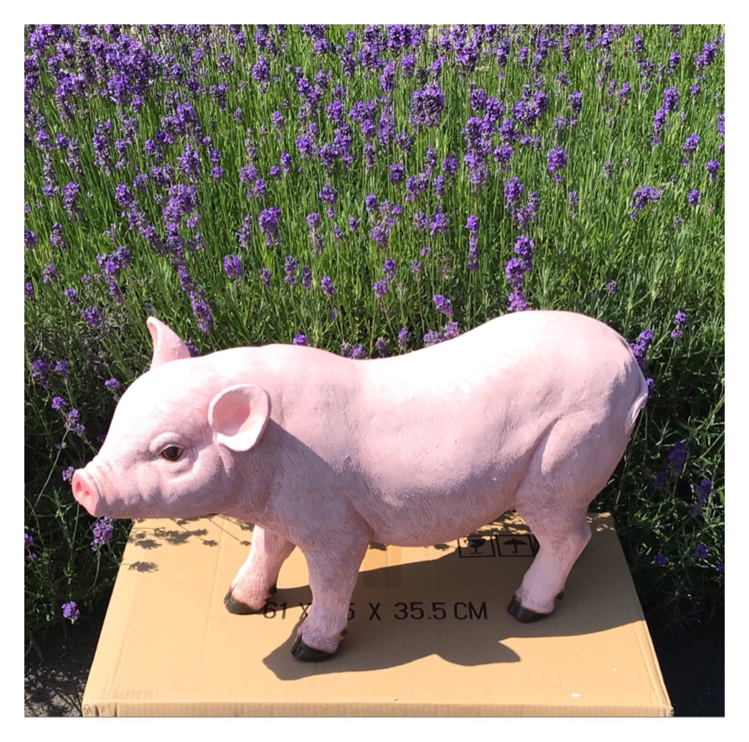 PIK14 Varken staand 65 x25 x 40 cm