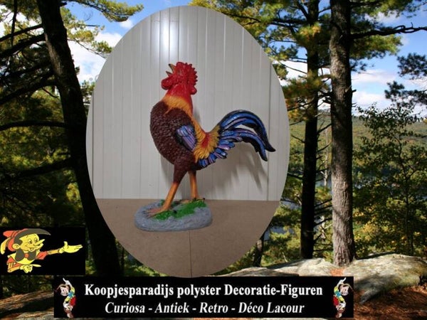 Haan op sokel laminaat 68 x 62 cm