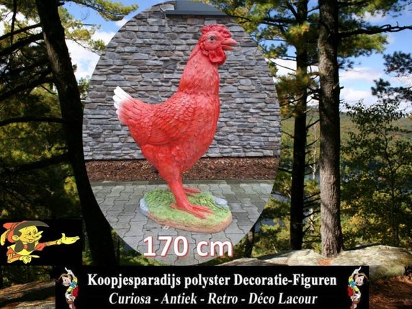 Kip wit op sokel laminaat 170 x 132 x 65 cm