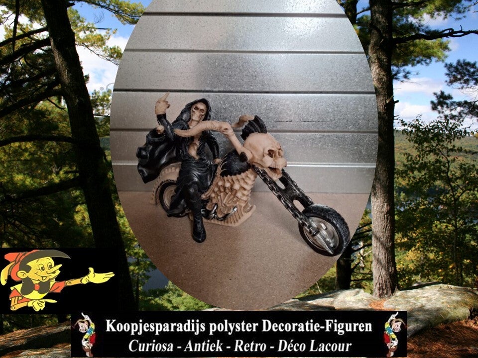 MOTO SCHEDEL FOCK YOU 25 CM