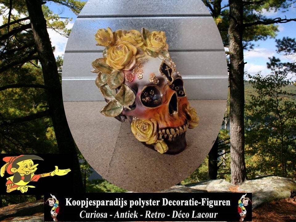 schedel gele rozen 20 cm