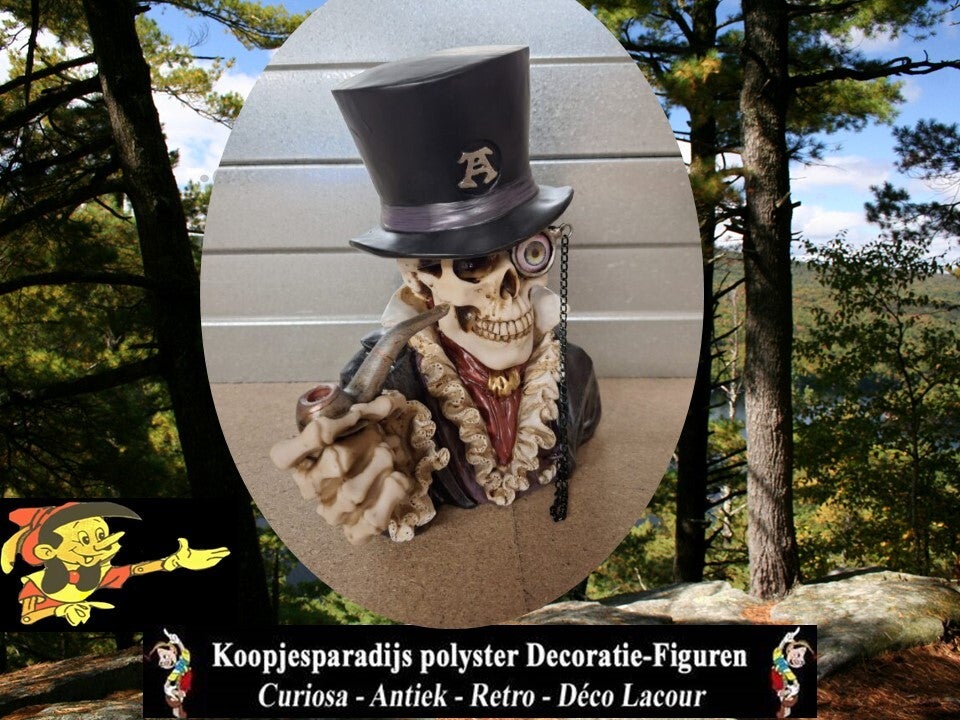 Schedel hoed en pijp 28 x 21 x 2Ocm verp 4