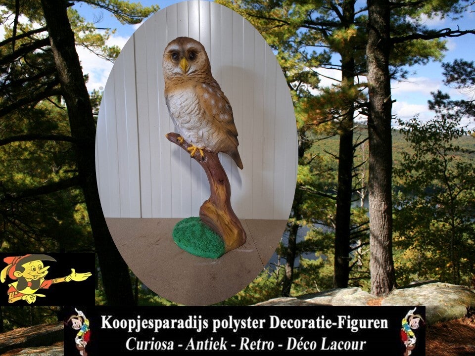 uil op stam 71 x  39 x 36cm