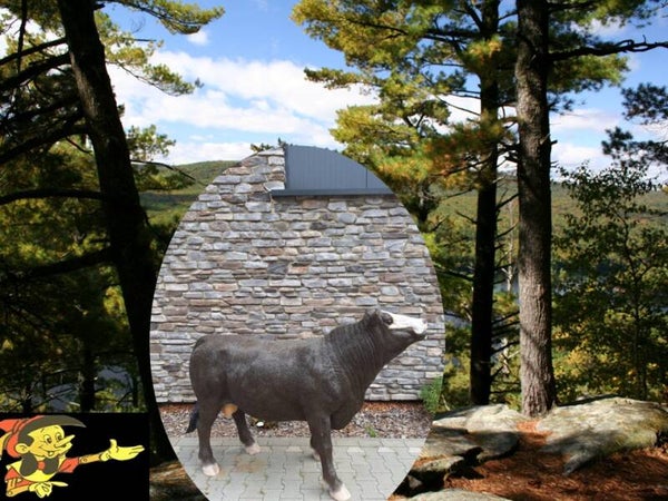 Koe Simmental laminaat 131 x  193 x 66cm