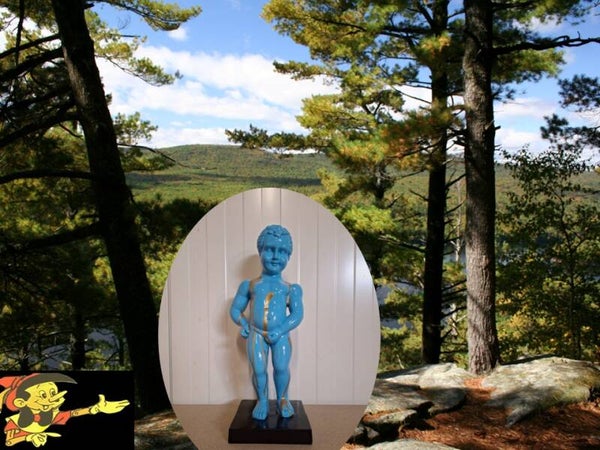 Mannetje pis blauw goud  45 cm VERP 8