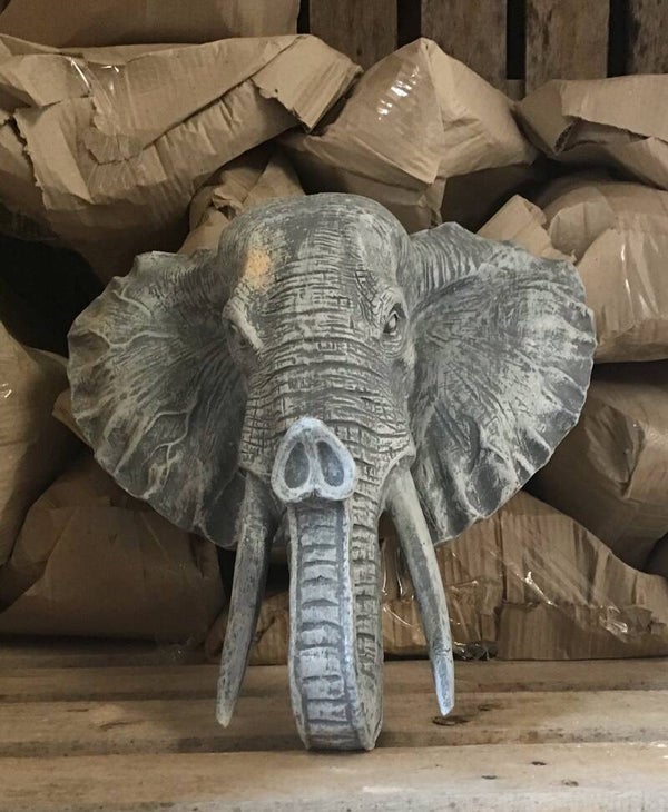 DS50 Funny olifant kop  muurhanger ass kleur 50 cm