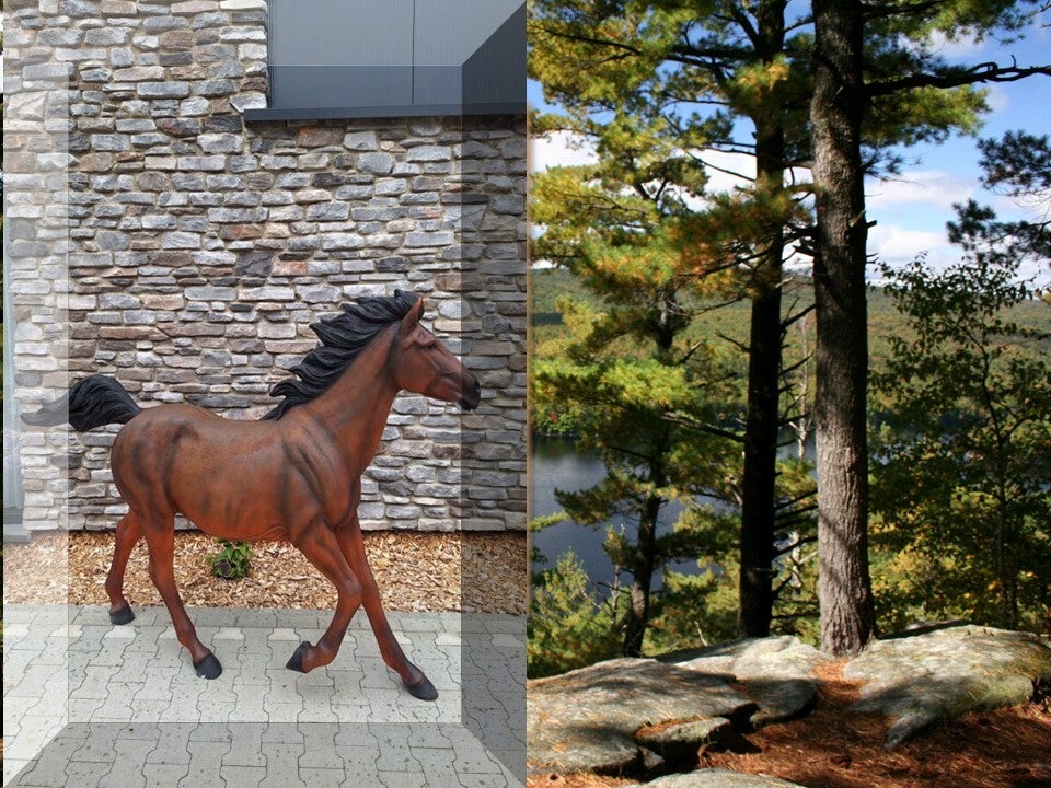 PAARD LEVENSGROOT BRUIN LAMINAAT 215 CM