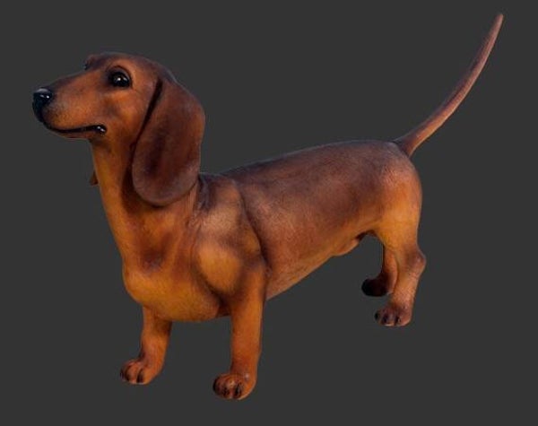 DHC40 Hond tekkel bruin polyester résine 30 x 65 cm