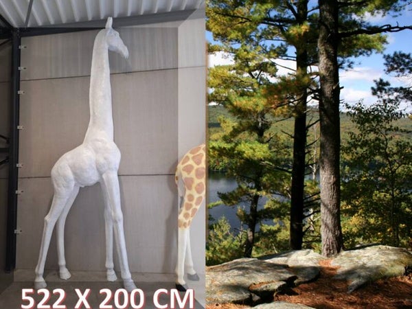 GIRAFFE LAMINAAT WIT 522 X200 CM