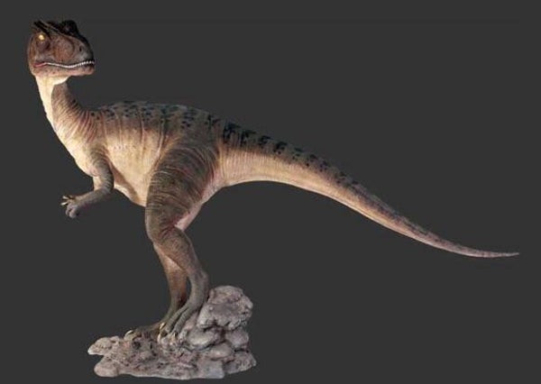 Jungle dinosauriërs Allosaurus XXL  Op rots polyester résine  2.84 x 0.80 x 1.89 cm