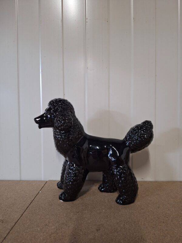 Poedel hond Zwart 20 cm verp 12