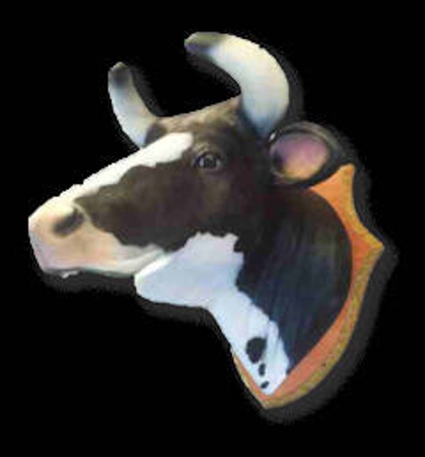 KS70 Funny koe Kop Zwart wit  op te hangen polyester résine 70 cm