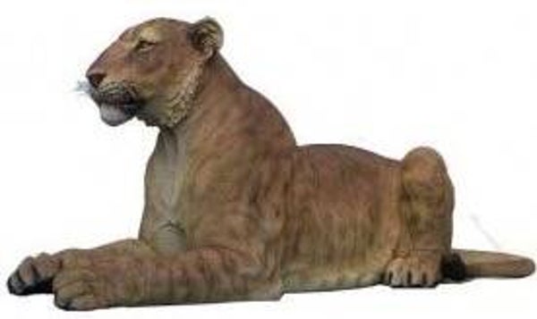 A981 Jungle Tijger  ligend  polyester résine 68 X160 cm