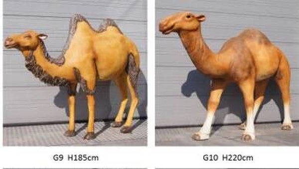 WST A1484 Kameel G9 polyester résine  184 X 210 X 67 CM