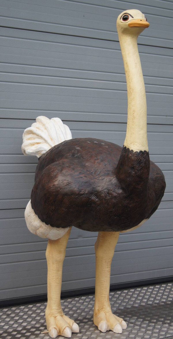 A895 pluim struisvogel polyester résine 180 x 120 cm