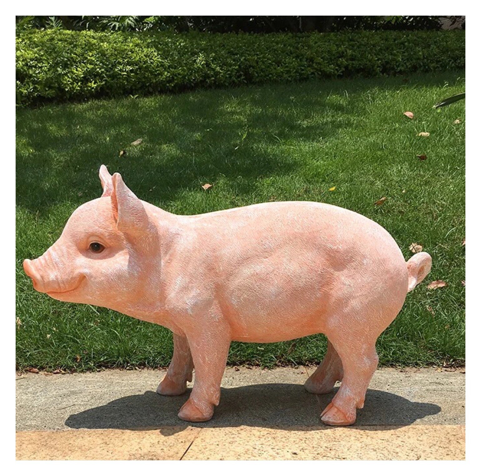 202570 Varken staand 70 cm