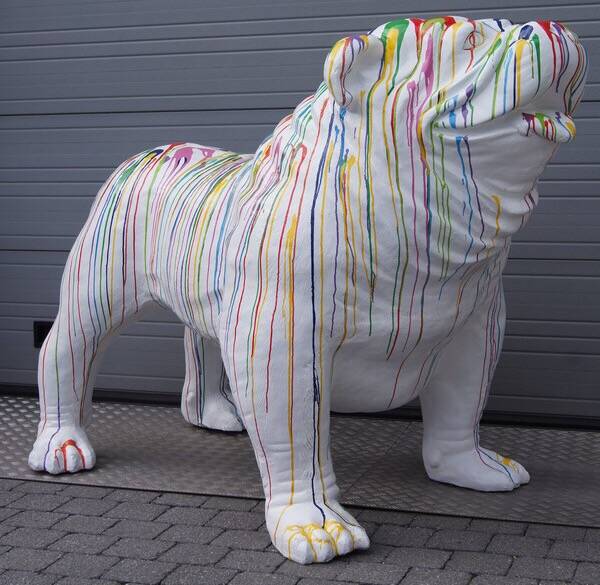 DHC72b Hond Engels bulldog polyester résine  multicolore drop 180:cm
