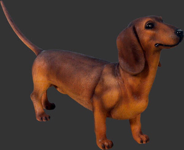 DHc87 Hond teckel bruin polyester résine 87 cm