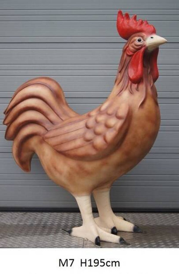 M7 Haan pluim bruin  polyester résine  200 X 120 CM