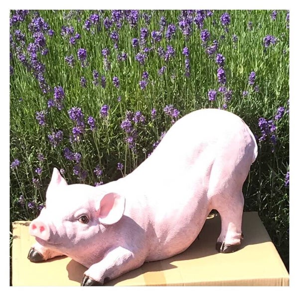 PIK16 Varken liggend op voorpoten 59 x 25 x 47 cm