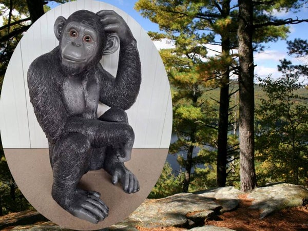 DAP101 Jungle Gorilla aap zit denker polyester résine 100 cm