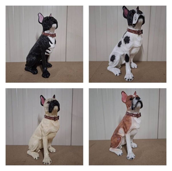 France buldog zit met halsband 50 cm