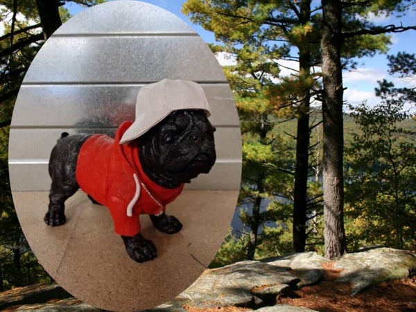 buldog met pet en trui 25 cm verp 6