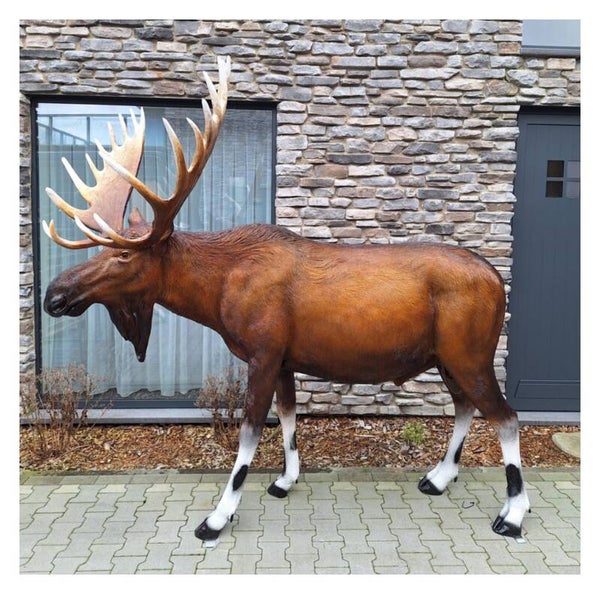 Jungle eland XXL polyester résine 226 x 240 x 142cm