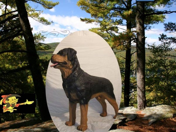 DHC11 Rottweiler hond staand polyester résine 90 cm