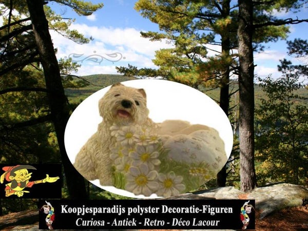 DHB94 Cezar west Highland white terrier hond bij pot polyester résine 35 cm