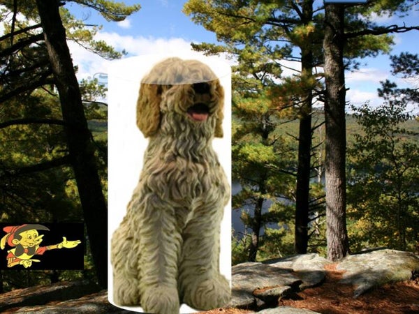 Hond Bobtai zit Polyester résine 80 CM