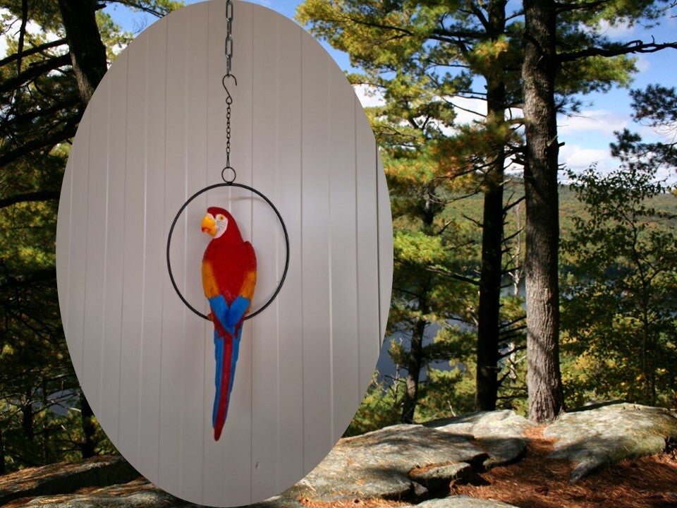 Papegaai in ring  33 cm  verp per 5/30