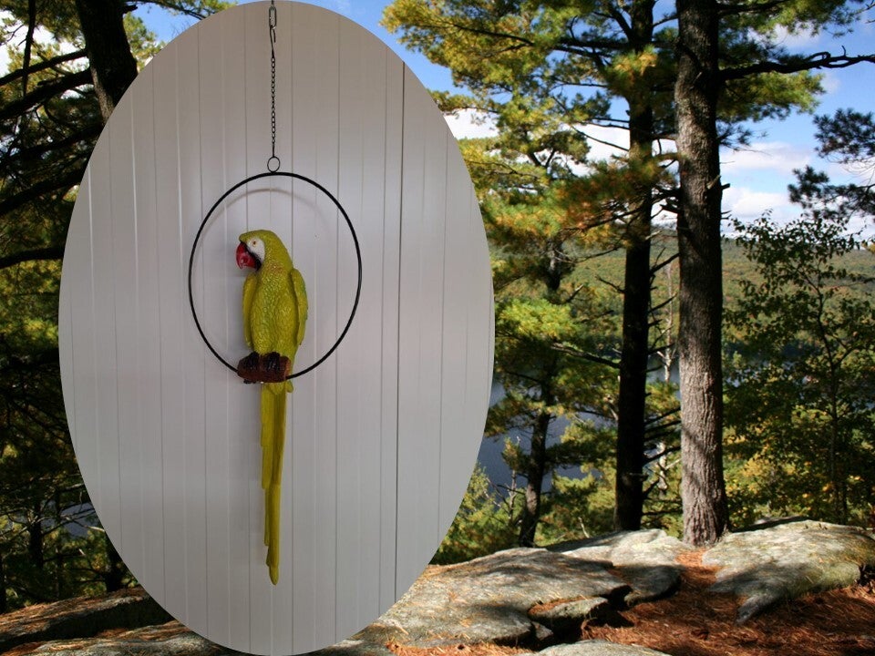 Papegaai in ring  70 cm  verp per 3