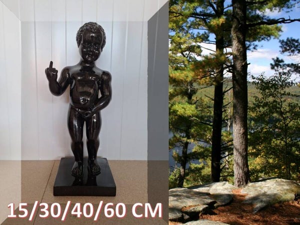 Mannetje pis fuck you kleur 60 cm