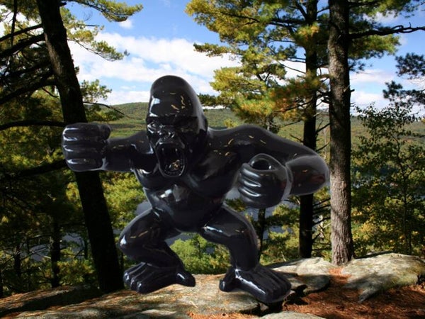 DAP185 Jungle Agresive Gorilla  zwart polyester résine 185 cm