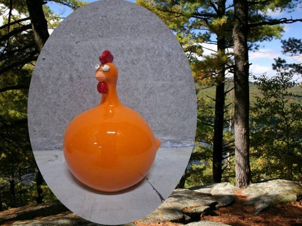 Funny kip dik glad orange  15 cm