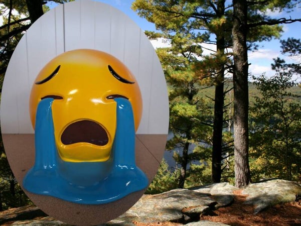 Emoji verdrietig 30 cm verp 4