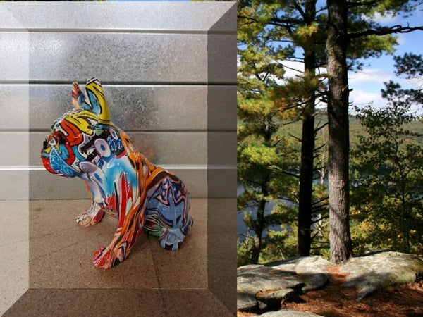 Graffiti pop art france buldog zit 21 x  21 x 13cm VERP 8