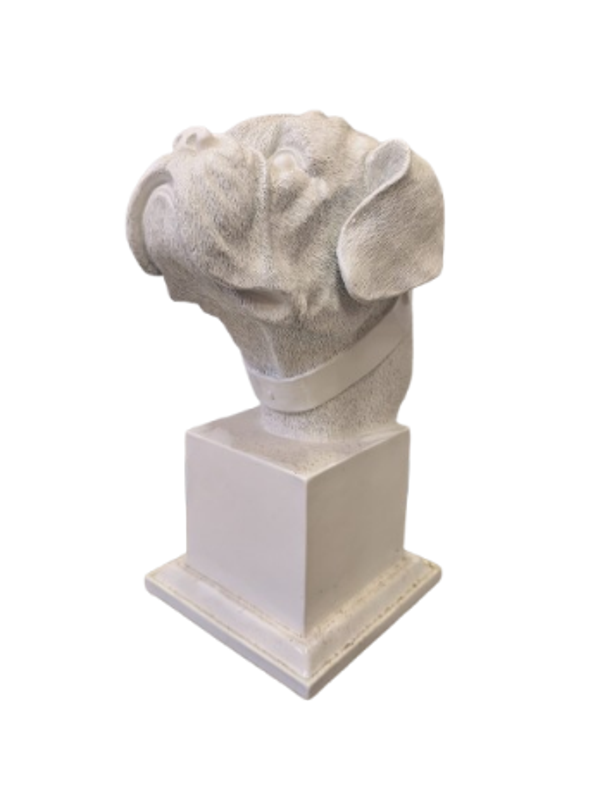 Burste hondekop 35 cm